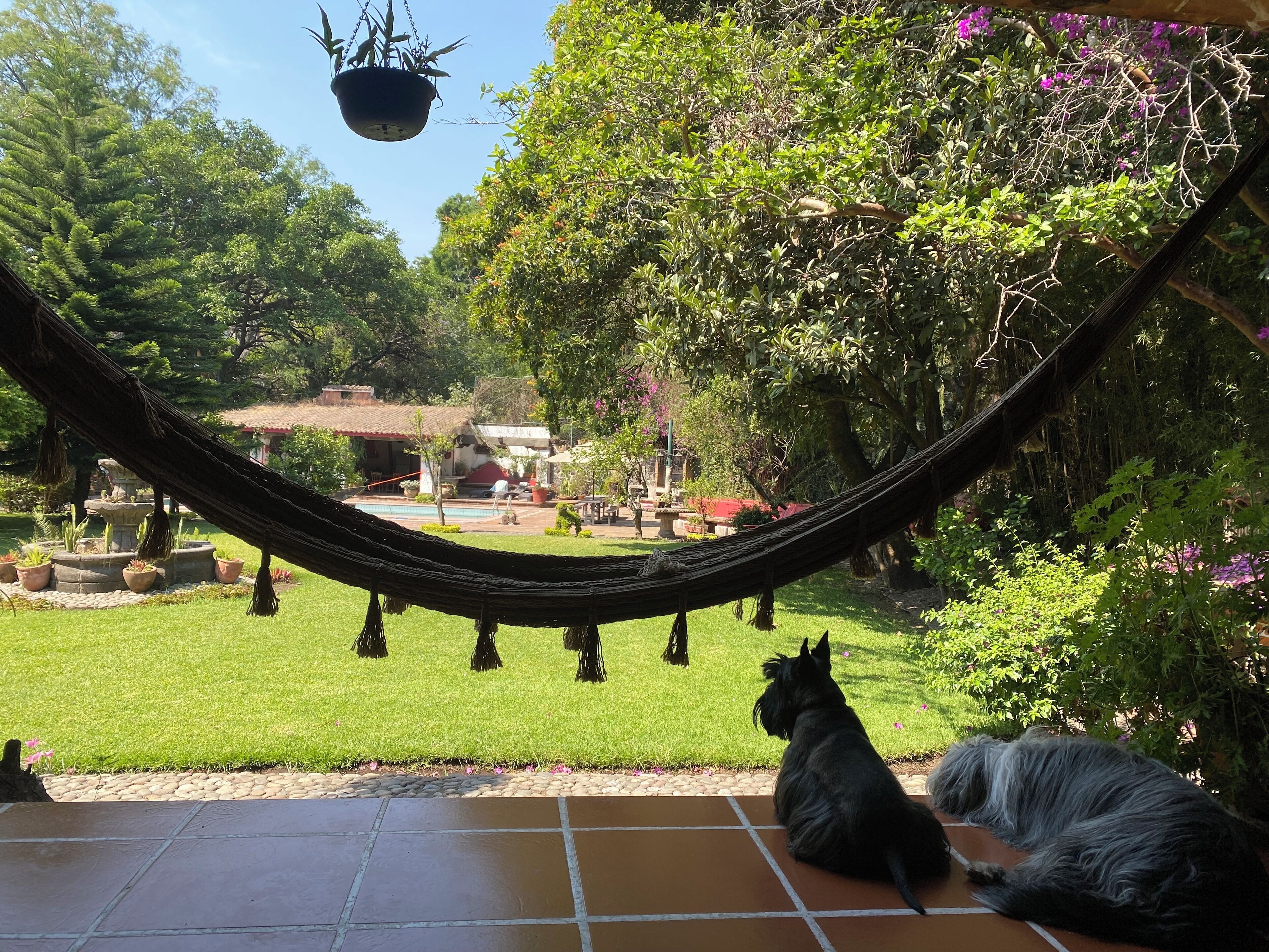 Parco della struttura