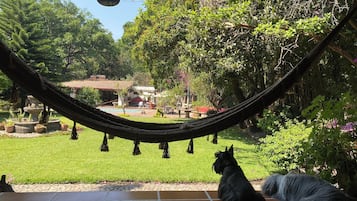 Parco della struttura