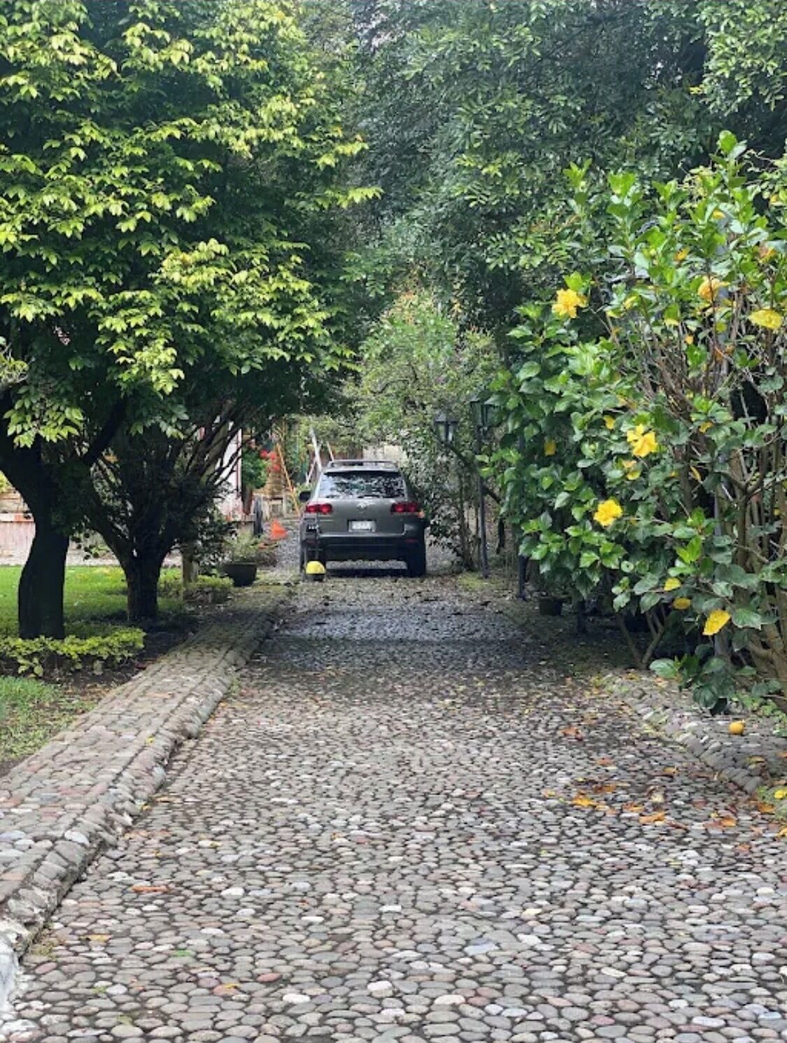 Jardines del alojamiento