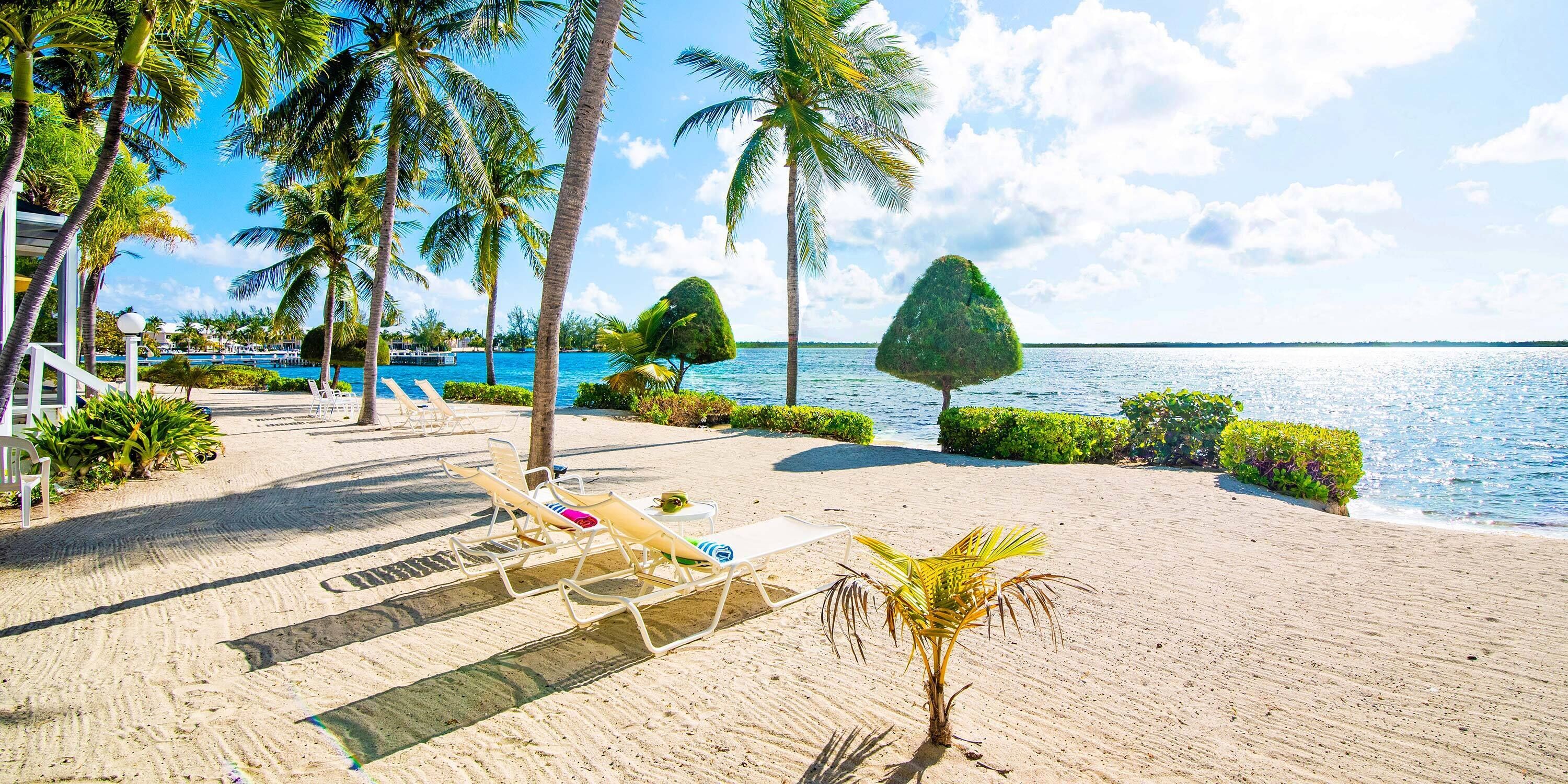 Ein Strand mit Palmen, Liegestühlen und einem Pool.