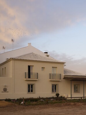 Exterior - Capricho de Doñana : Apartment (Rocio, El)