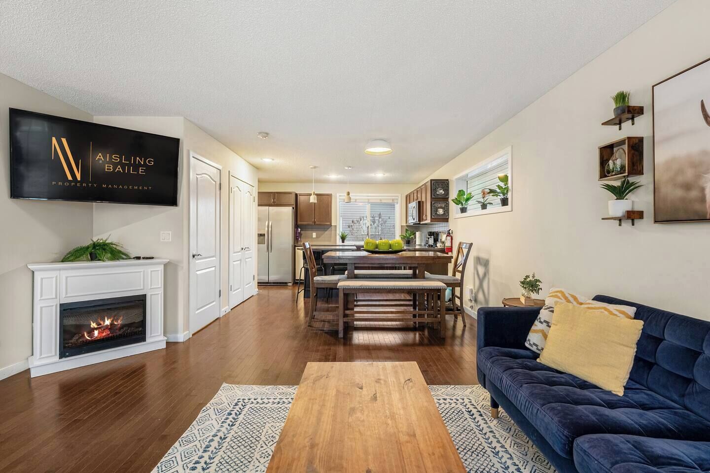 TV, fireplace, video games, computer monitors