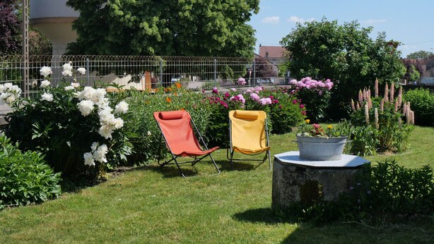 Een tuin met twee stoelen, een potplant en verschillende bloemen.