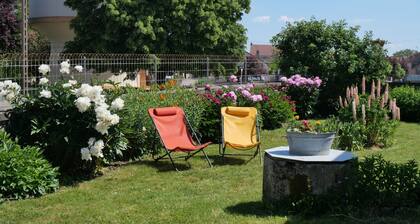 LES PIVOINES - Richebourg