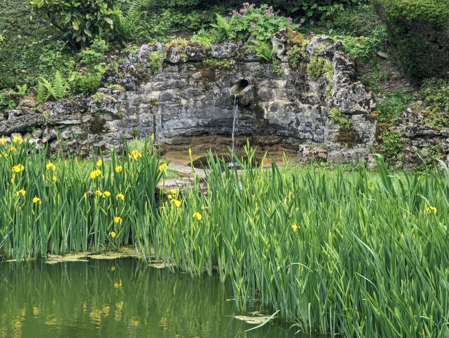 Ein natürlicher Teich mit gelben Blüten und einer Steinmauer mit einem Loch.