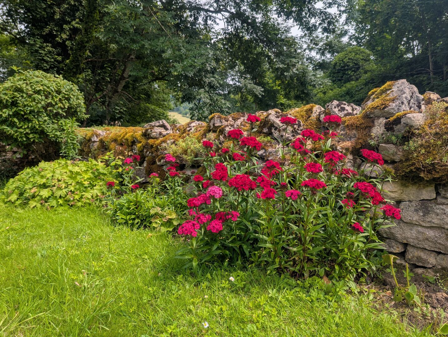 Jardines del alojamiento
