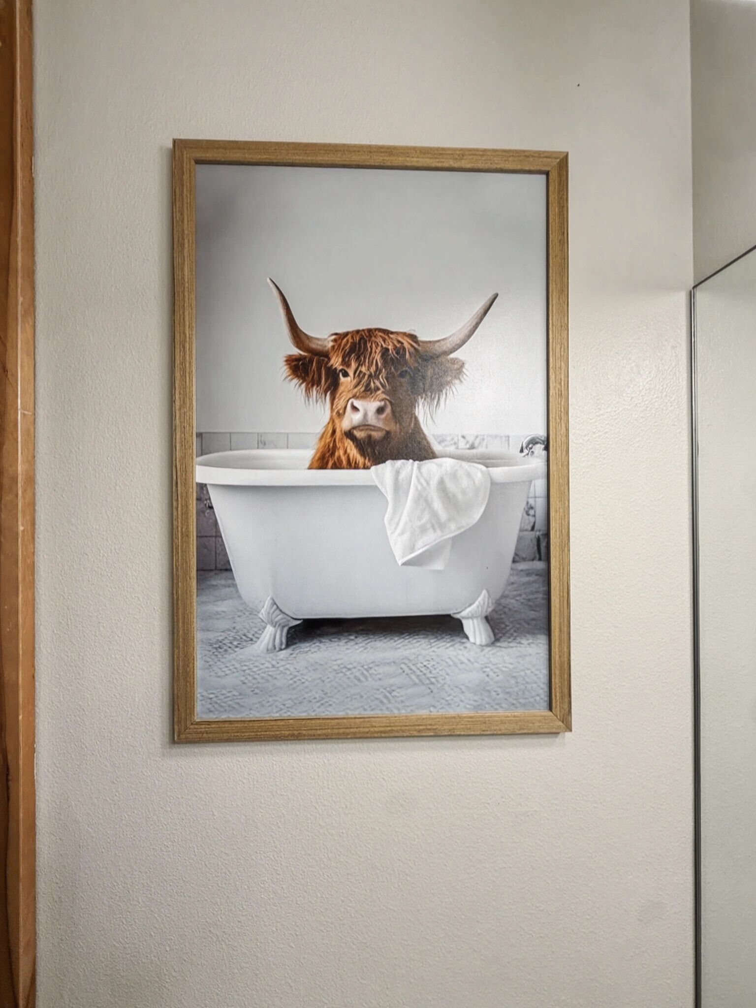 Une photographie encadrée représentant une vache des Highlands dans une baignoire.