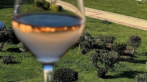 Un bicchiere di vino bianco con vista su una zona residenziale costiera, caratterizzata da case con tetti in tegole rosse e un cielo azzurro limpido.