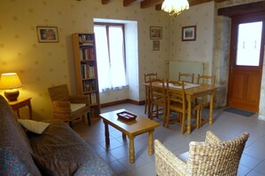 Fireplace, DVD player - GRAIN D'ORGE - Aubepierre-sur-Aube (Aubepierre-sur-Aube)