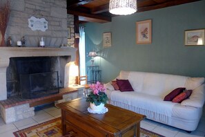 TV, DVD player - Le Pastoral - Pont-la-Ville (Pont-la-Ville)