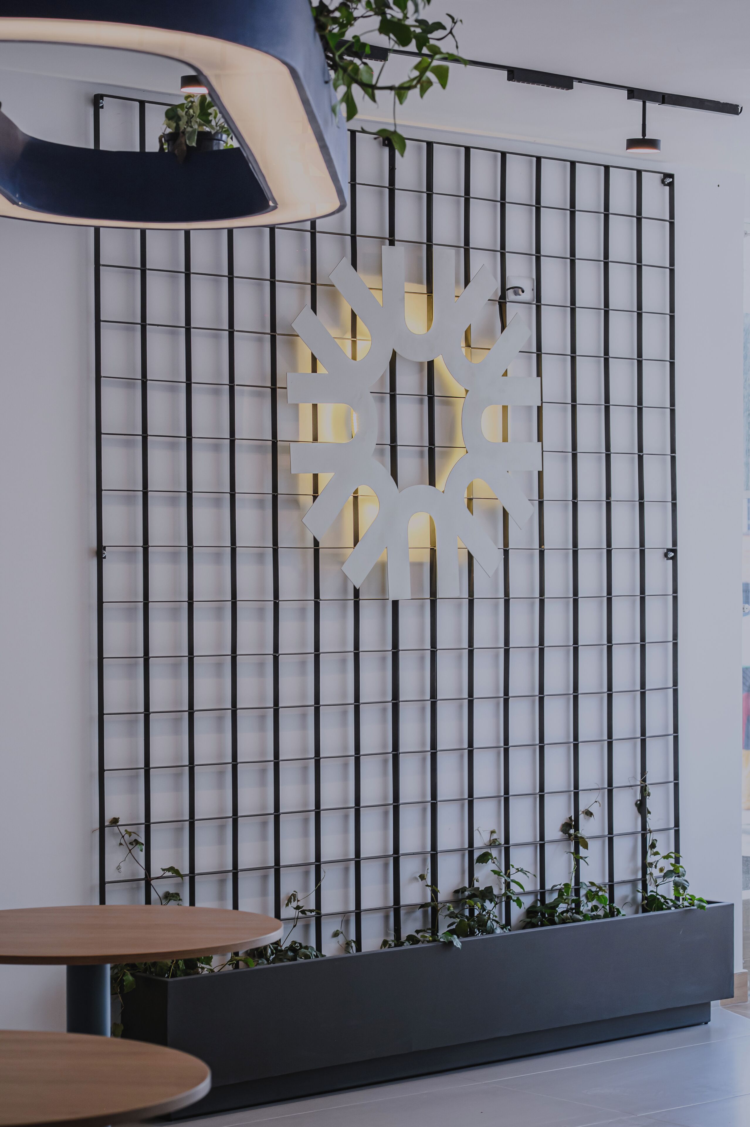 A modern interior with a grid-patterned wall, a decorative cut-out, and a planter with plants.