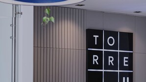 A modern office space with a potted plant, a blue and white desk, and a wall-mounted sign with the word "kooliving". - Torre U Kooliving (Manizales)