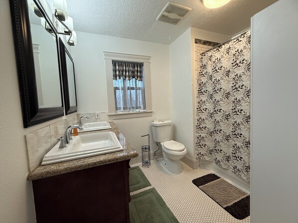 Une salle de bain avec un lavabo, des toilettes et une douche.