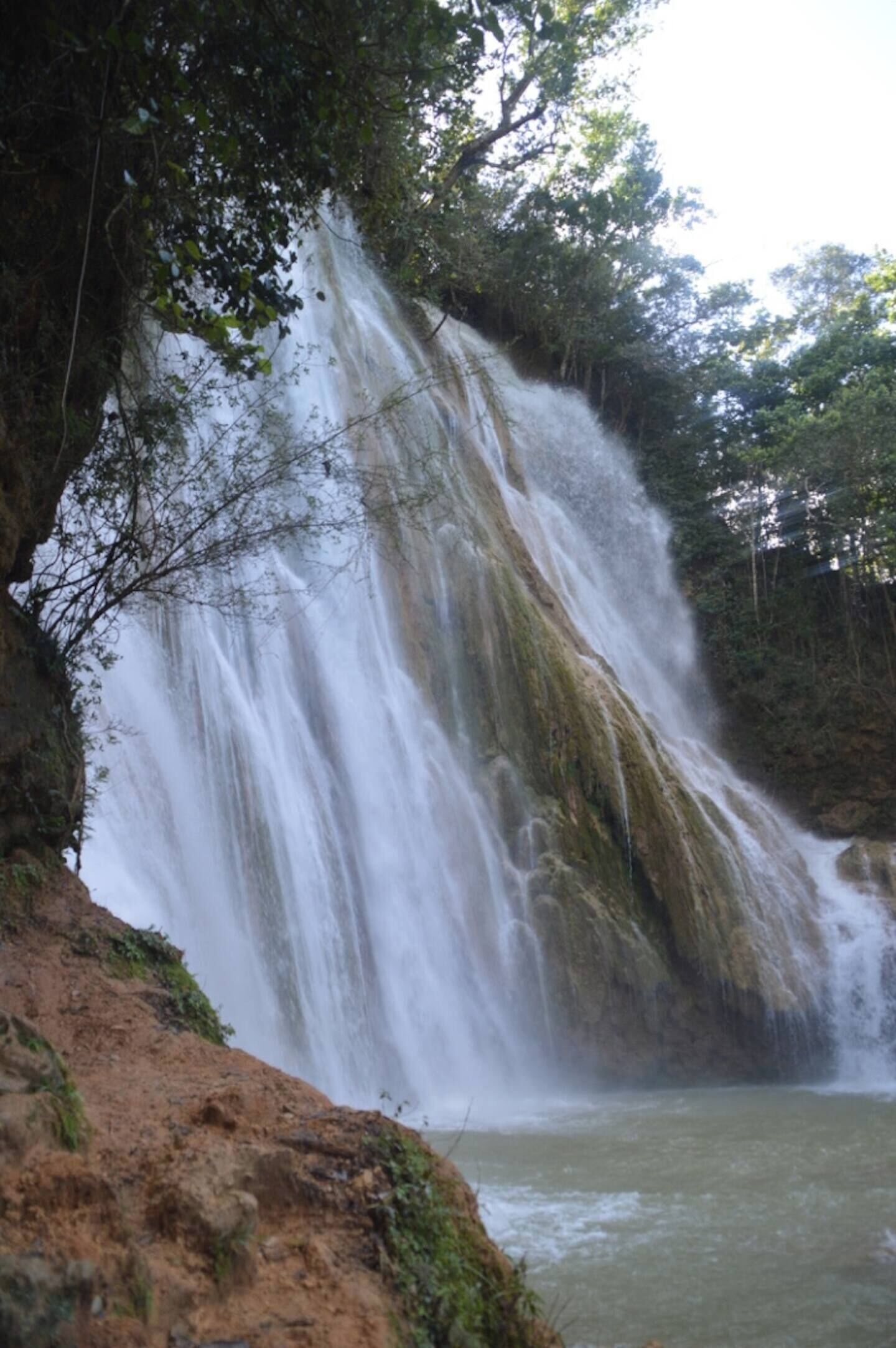 A waterfall cascading down a rocky cliff surrounded by dense foliage.