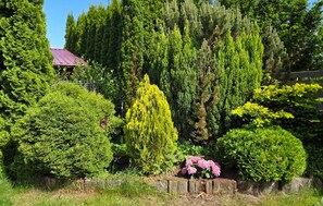 Property grounds - Gorgeous home in Osieki with house sea view (Osieki)