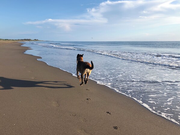 Playa