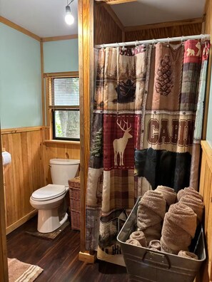 Shower, hair dryer, towels, soap - Charming 2-bedroom cabin with AC in West Chazy (West Chazy)