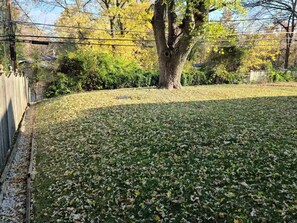 A yard with a tree, a fence, and some bushes. - Sharon A - 8 Bed, Sleeps 11+ (Saint Charles)