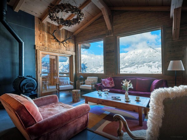 TV, fireplace, stereo - Ferme Claudius - Enjoy skiing and nature right on the piste - OVO Network (Praz-sur-Arly)