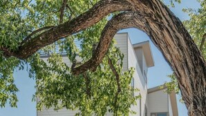 Una casa moderna de dos pisos con amplios ventanales, base de ladrillo y un jardín bien cuidado.