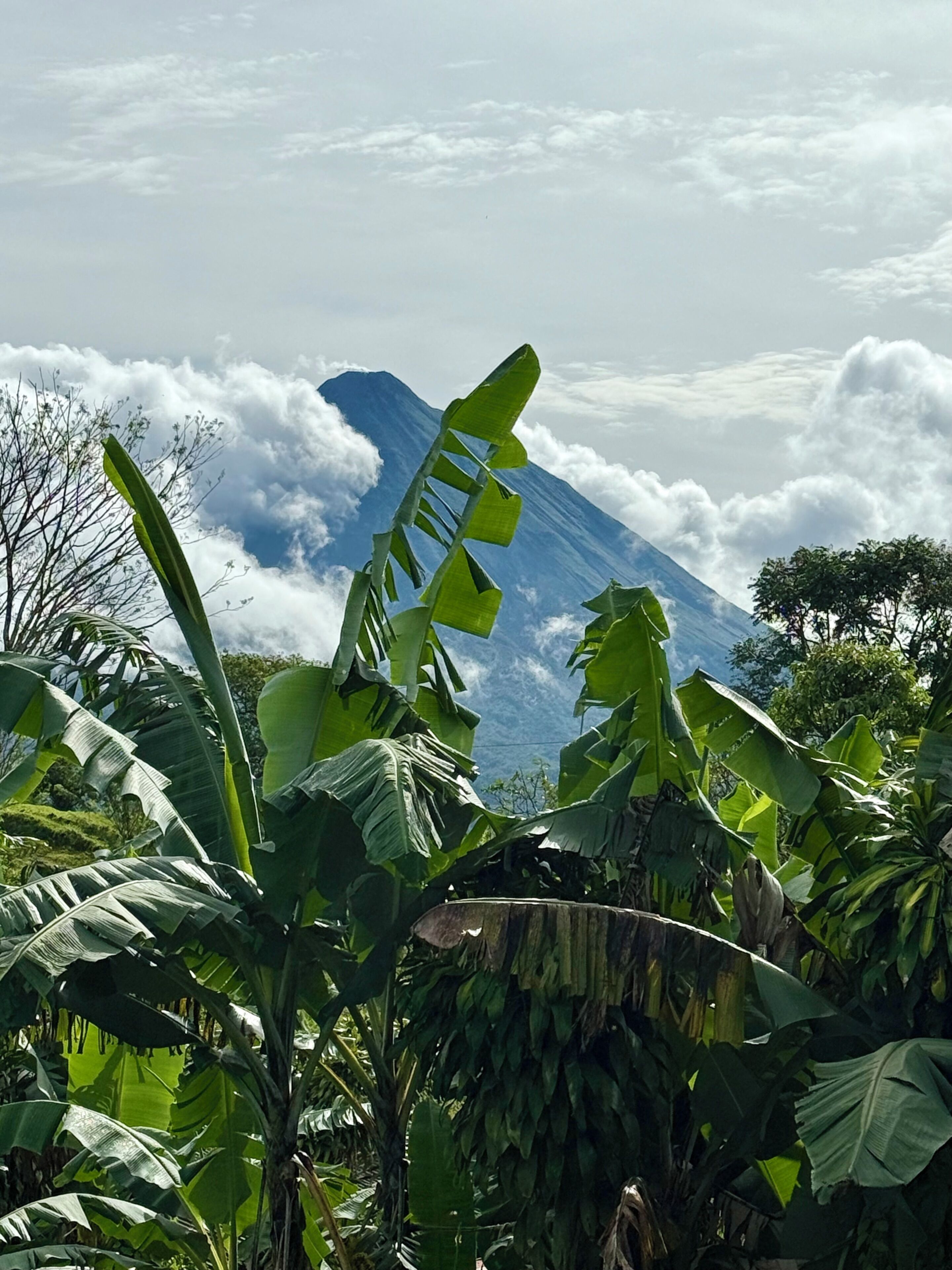 A mountain with clouds in the background and lush green foliage in the foreground.
