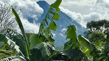 A mountain with clouds in the background and lush green foliage in the foreground.
