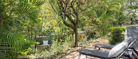 Un patio jardín con una silla de lounge y una mesita, rodeado de abundante vegetación y un árbol.