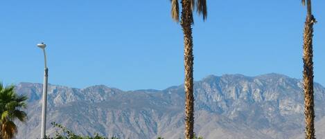 A street with palm trees and a mountain range in the background.