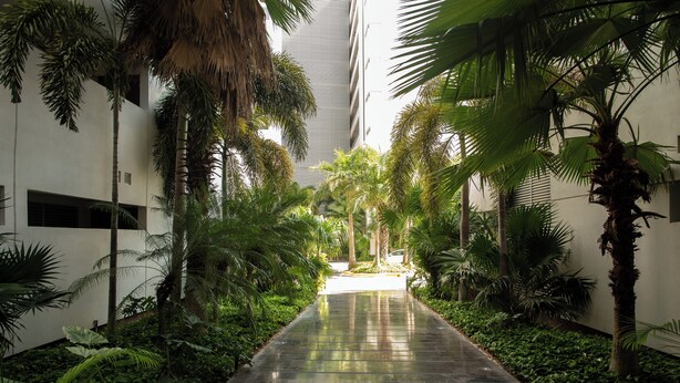 A pathway flanked by lush greenery and palm trees, leading to a building with a modern design and large windows. - Spacious 3 beds 2.5 baths Condo US Consulate (Merida)