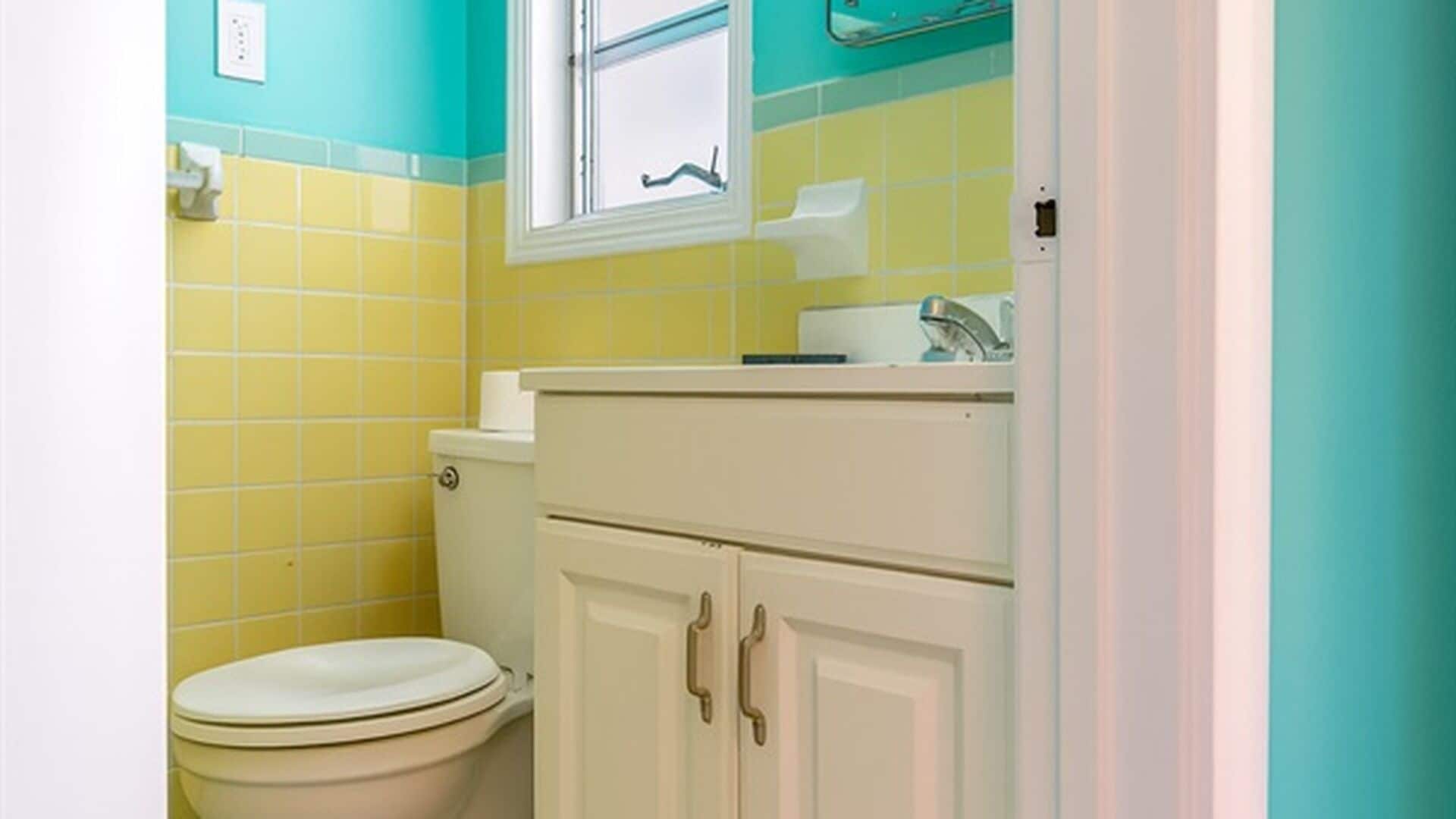 Hair dryer, towels, shampoo, toilet paper