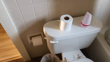 SĂšche-cheveux, serviettes fournies, savon, papier toilette