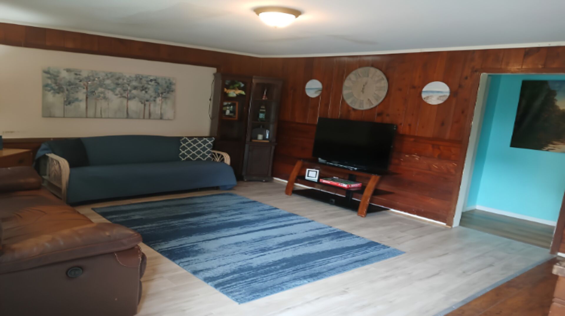 TV