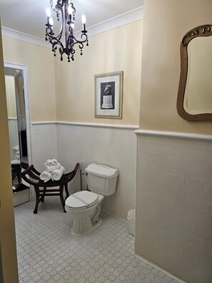 Chuveiro, secador de cabelo, toalhas de banho, sabonete