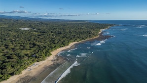Vista aèria d'una zona costanera amb platja, bosc dens i cel serè.