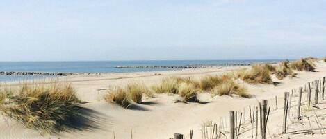 Nær stranden