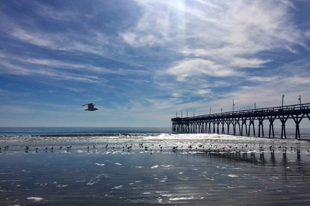 Un muelle se adentra en el océano, con aves en la playa.