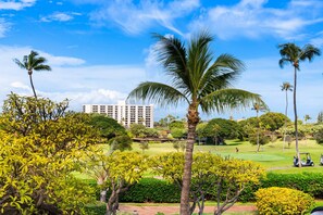 Golf - Studio Spacious Lanai, AC, Kitchen & Exclusive Beach Cabana - Maui Eldorado K210 (Lahaina)
