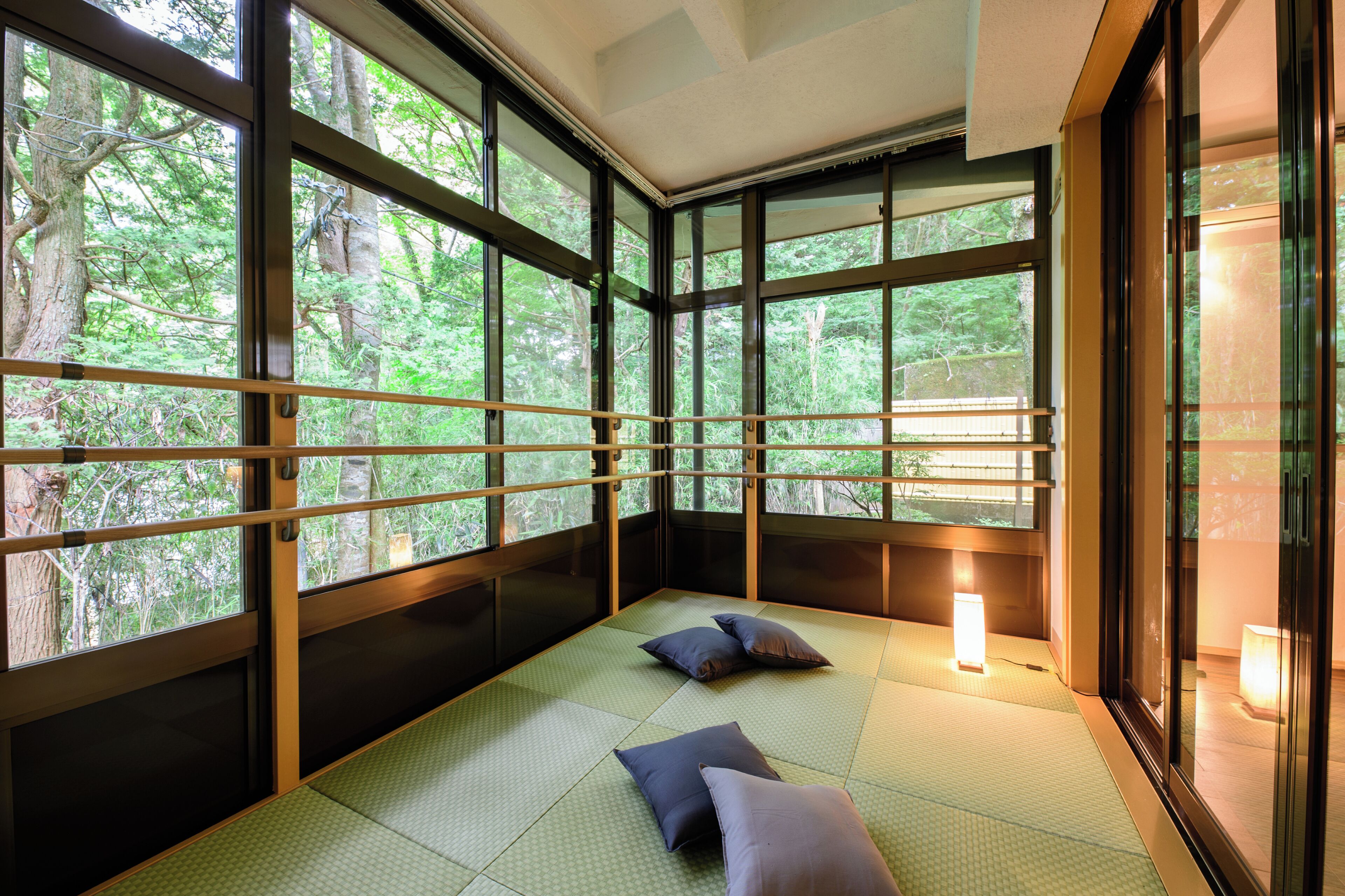 Comfort Villa, Balcony, Garden View | Pillowtop beds, desk, blackout drapes, free WiFi