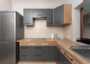 Fridge, oven, stovetop, dishwasher - Cracow Vistula Harmony Apartment (Kraków)