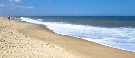 Playa en los alrededores