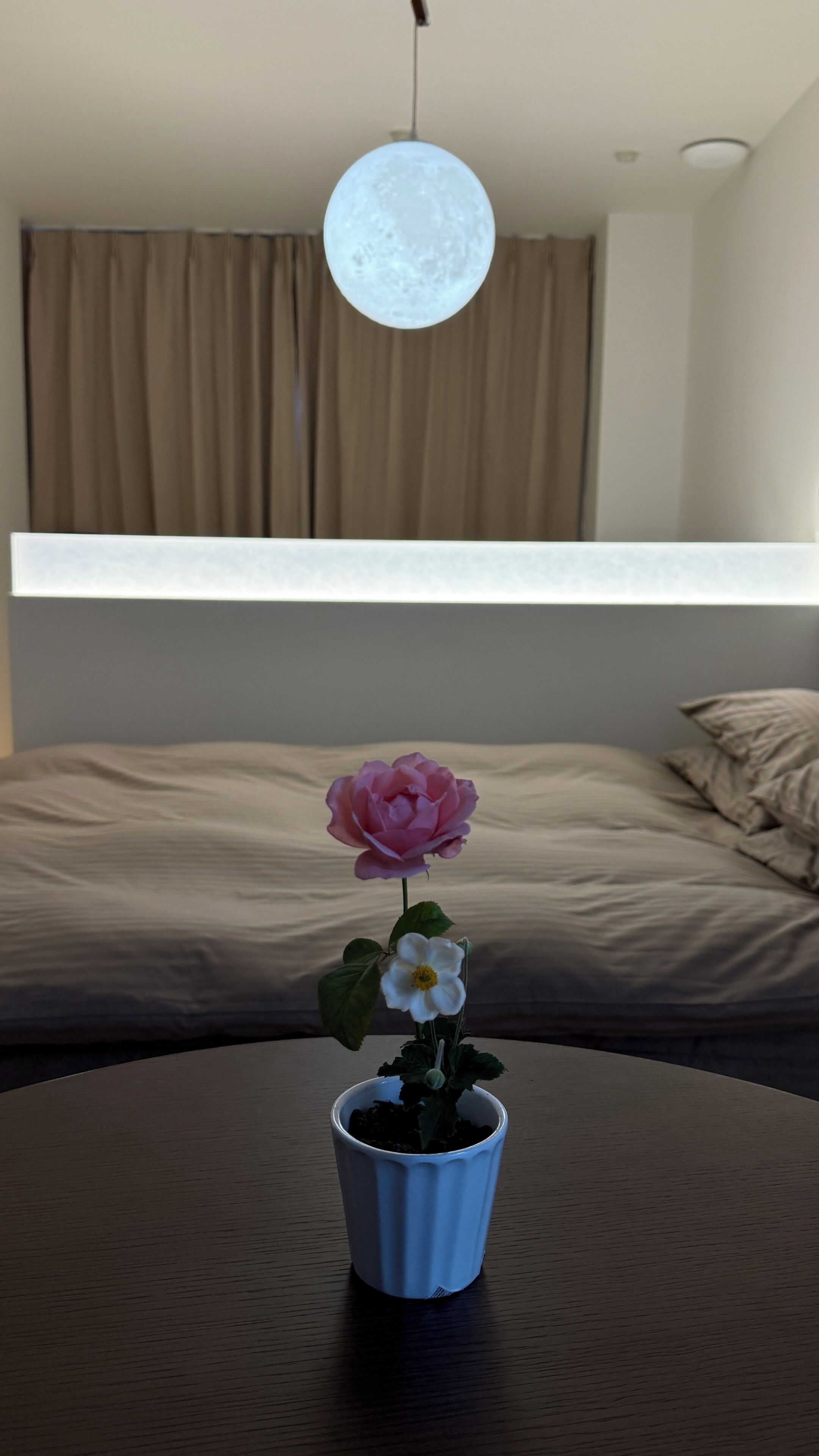 Una habitación con cama, ventana con cortinas, planta en maceta con flor y lámpara colgante.