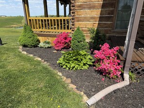 A wooden cabin with a porch, surrounded by a garden with various shrubs and flowers.
