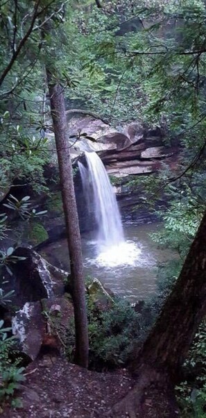 A waterfall in a forested area with dense foliage and a rocky terrain.