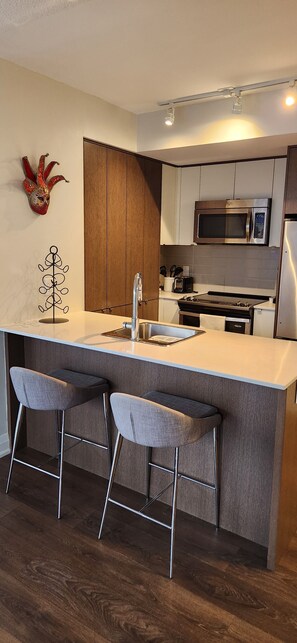 Private kitchen - Luxury Condo Toronto YYZ (Toronto)