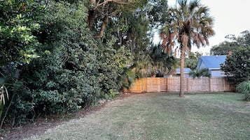 A backyard with a wooden fence, a palm tree, and dense shrubbery.