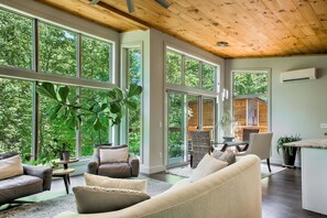 Smart TV, chimenea, libros