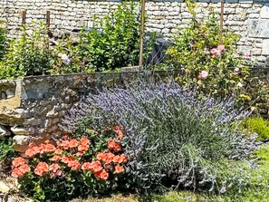 Property grounds - Ile d'Aix by Interhome (Geay)