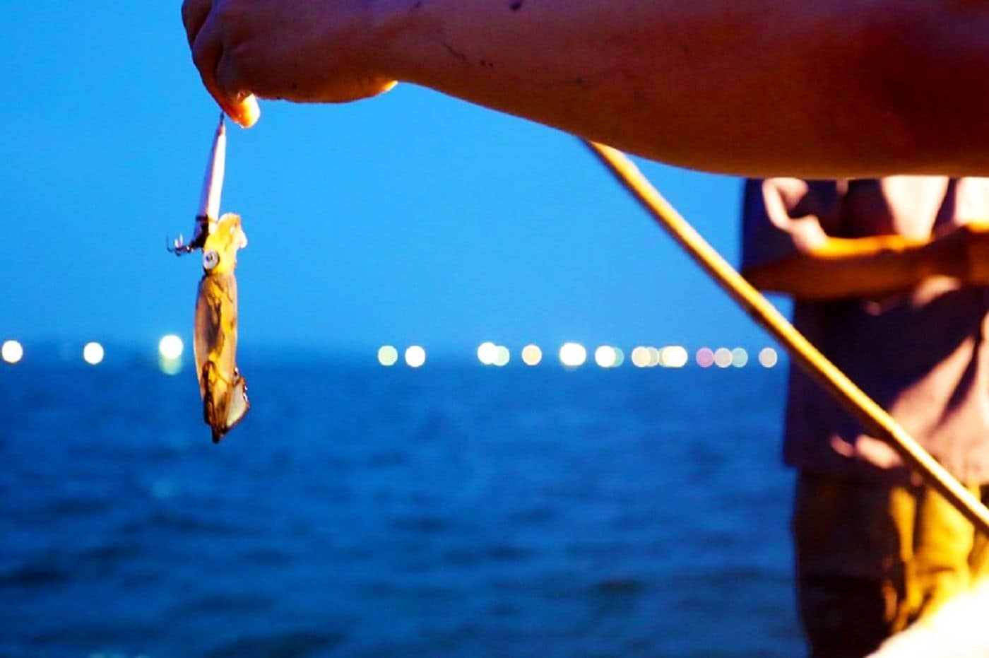 A hand holding a fish on a hook, with a blurred background of lights over water.