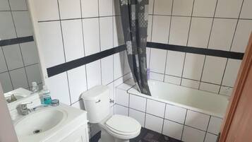 Shower, jetted tub, hair dryer, bidet
