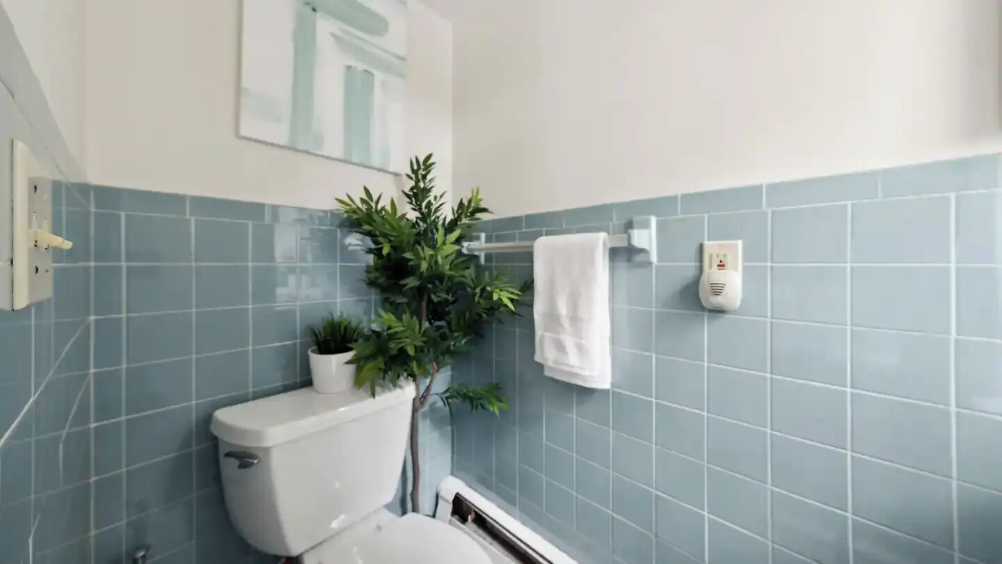 A bathroom with a toilet, a potted plant, a towel hanging on the wall, and a hand dryer.